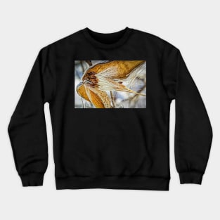 Frosted Milkweed Crewneck Sweatshirt